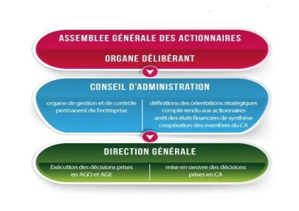 Compostion De L'entreprise,sedicommali.com